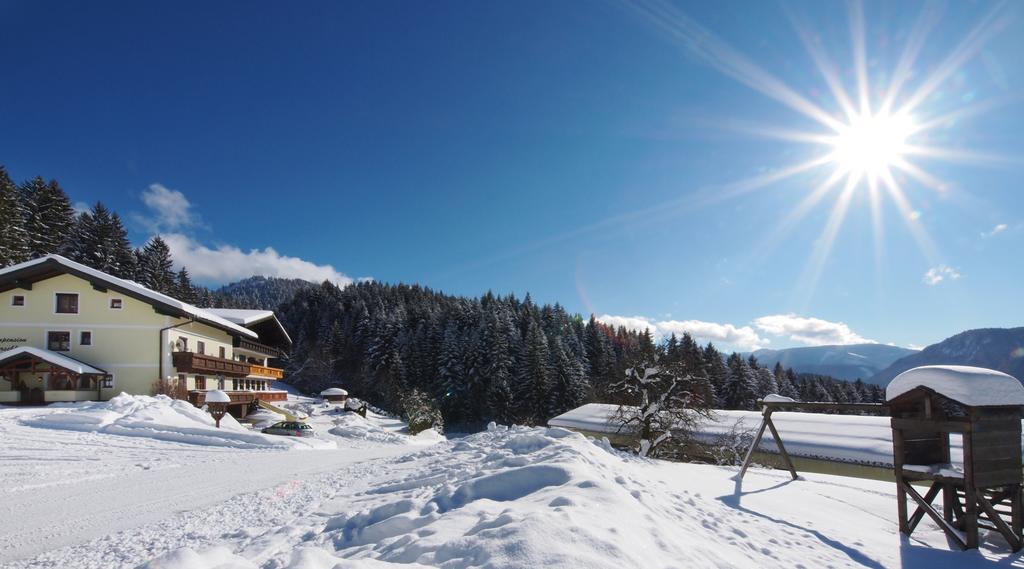 Alpenapartments Unterschlag Annaberg im Lammertal Exterior foto